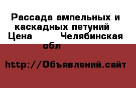 Рассада ампельных и каскадных петуний › Цена ­ 40 - Челябинская обл.  »    
